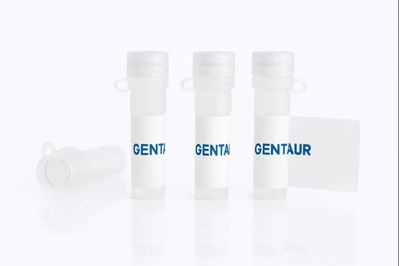 Epoxide hydrolases, Sinorhizobium fredii (His)