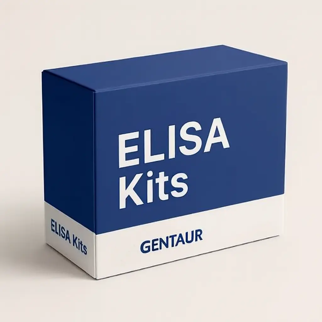 Human TRAM1(Translocation Associated Membrane Protein 1) ELISA Kit