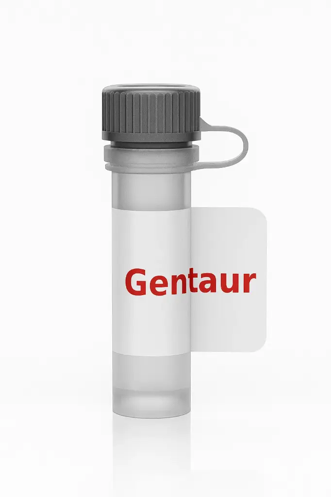 Rat Anti-Mouse CD3 Antibody(Clone 17A2), AF/LE Purified